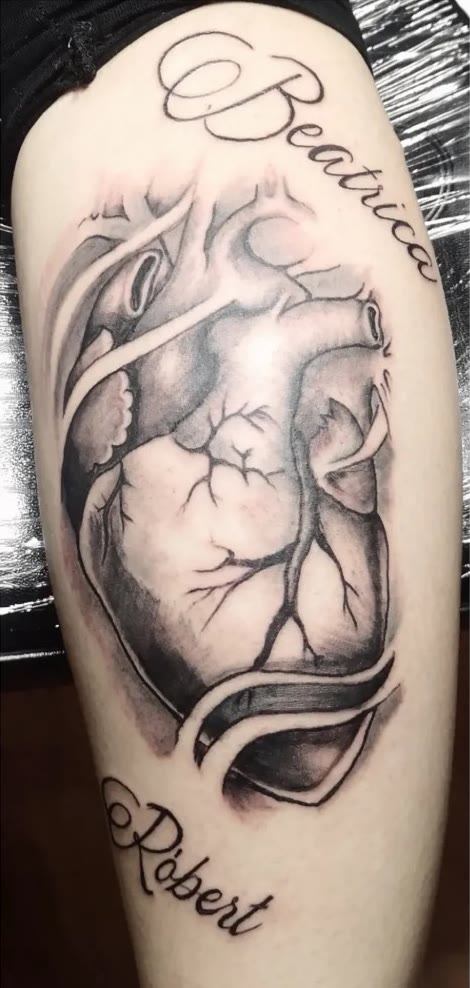 Anatomisches Herz mit zwei Namen