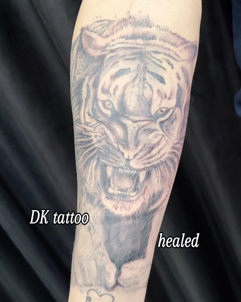 Tiger am Unterarm, verheilt